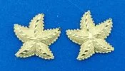 14k starfish post earrings