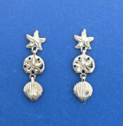 Sealife Starfish Sand Dollar Shell Post Earrings, 14K White Gold