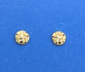 Sand Dollar Post Earring, 14K Yellow Gold