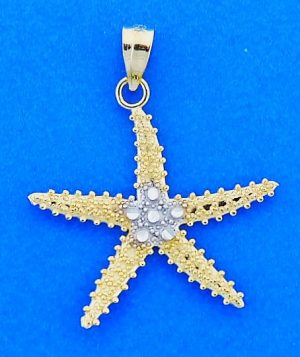 Starfish Pendant Diamond-Cut, 2d, 14k 2-Tone