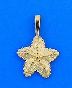 Starfish Charm/Pendnt, 14k Yellow Gold