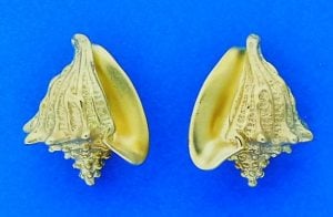 Steven Douglas Conch Shell Earrings, 14k Yellow Gold