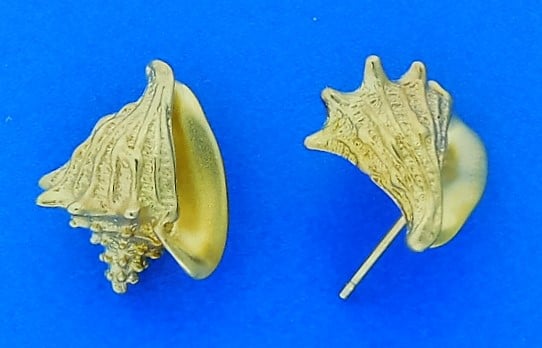 Simple Seashell Earrings  Sea Things Ventura