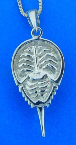 Sterling Silver Horseshooe crab pendant