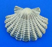 sterling silver scallop shell slide