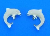 14k white gold denny wong dolphin post earrings