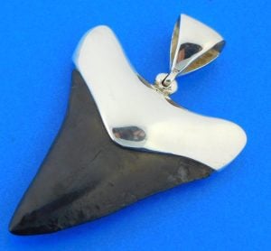 sterling silver shark tooth pendant