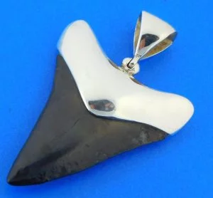 sterling silver shark tooth pendant