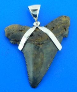 sterling silver shark tooth pendant