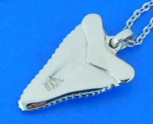 sterling silver & koa wood shark tooth necklace