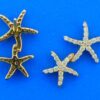 14k double starfish diamond earrings