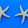 starfish earrings 14k & diamonds