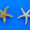 starfish earrings 14k & diamonds