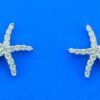 14k white gold starfish earrings