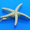 14k diamond starfish necklace