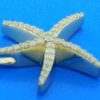 14k diamond starfish necklace