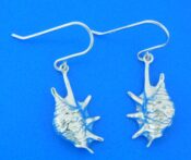 sterling silver conch shell dangle earrings