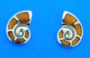 sterling silver nautilus shell koa wood earrings