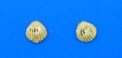 14k yellow gold shell post earrings