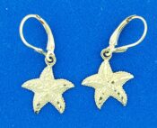 14k starfish lever back earrings