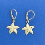 Starfish Lever Back Earrings, 14K