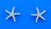 Starfish Diamond Post Earrings, 14K White Gold