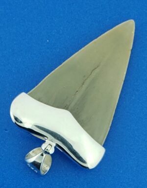 great white shark fossil tooth sterling silver