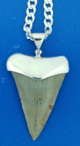 great white shark fossil tooth sterling silver